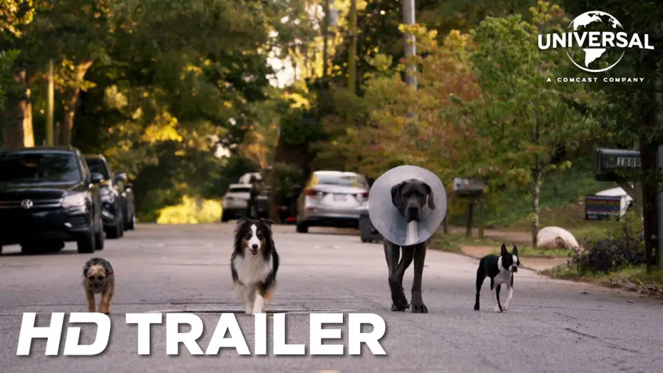 Video for the film Strays — Offizieller Red Band Trailer