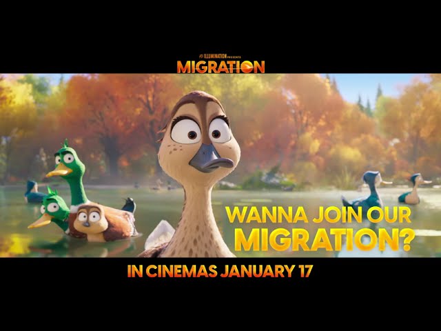 Video for the film Migration — Come for a wild, wonderful ride through skies & city lights.