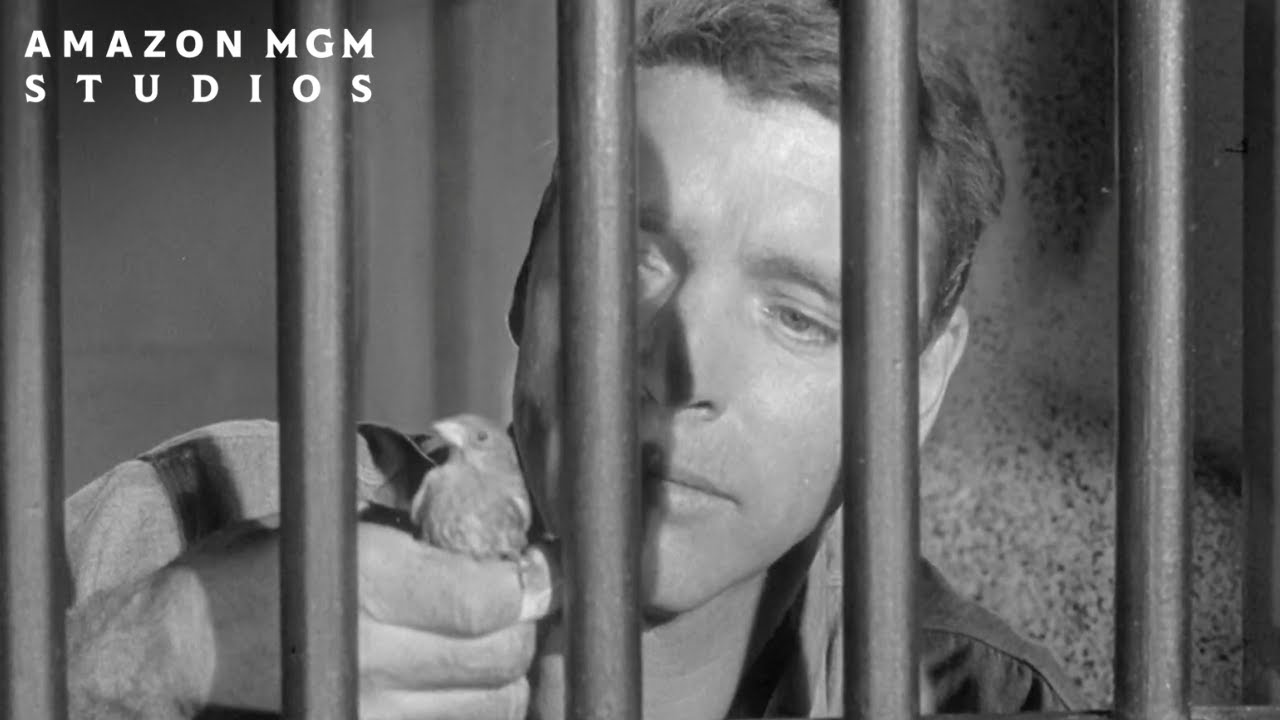 Video for the film Birdman of Alcatraz — Official Trailer