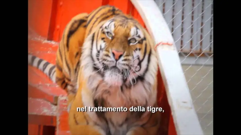 Video for the film Life of Pi — Vita di Pi - Intervista Ang Lee