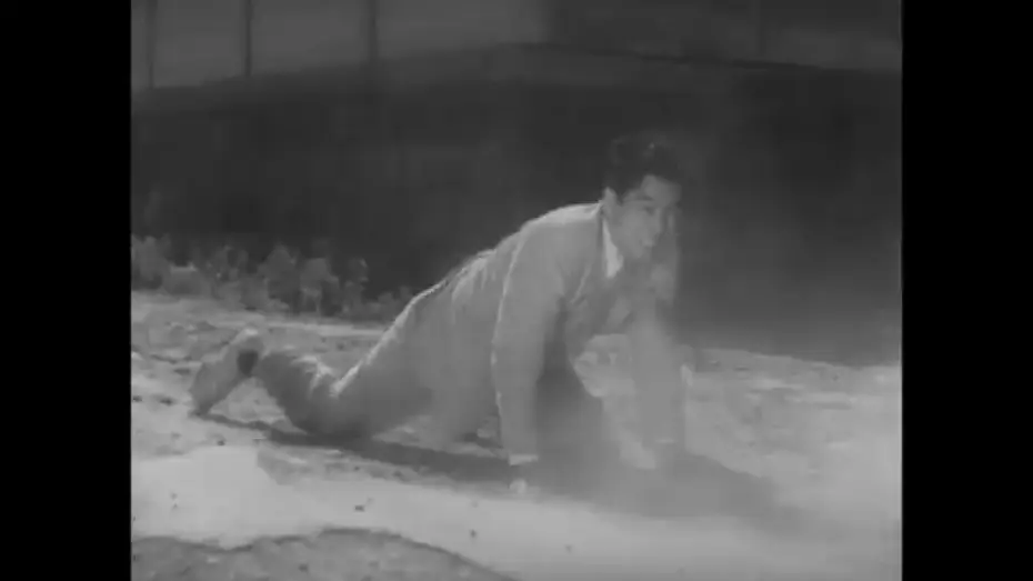 Video for the film Stray Dog — CHIEN ENRAGÉ - extrait VOST