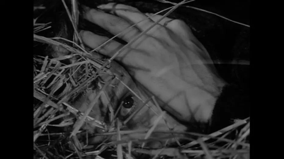Video for the film The Ascent — The Ascent - Hiding from the Nazis