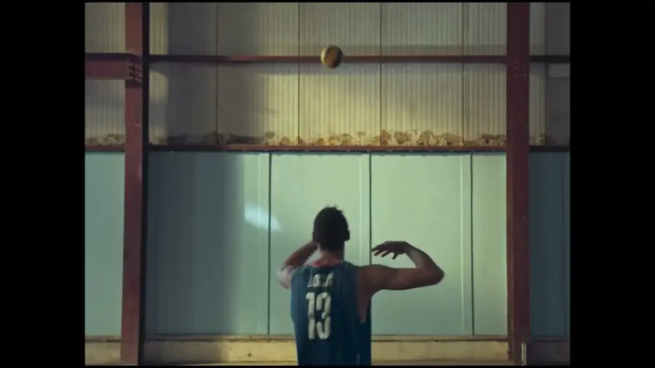 Video for the film A Bird Flew — Un pájaro voló (A Bird Flew) by Leinad Pájaro De la Hoz - Official Trailer