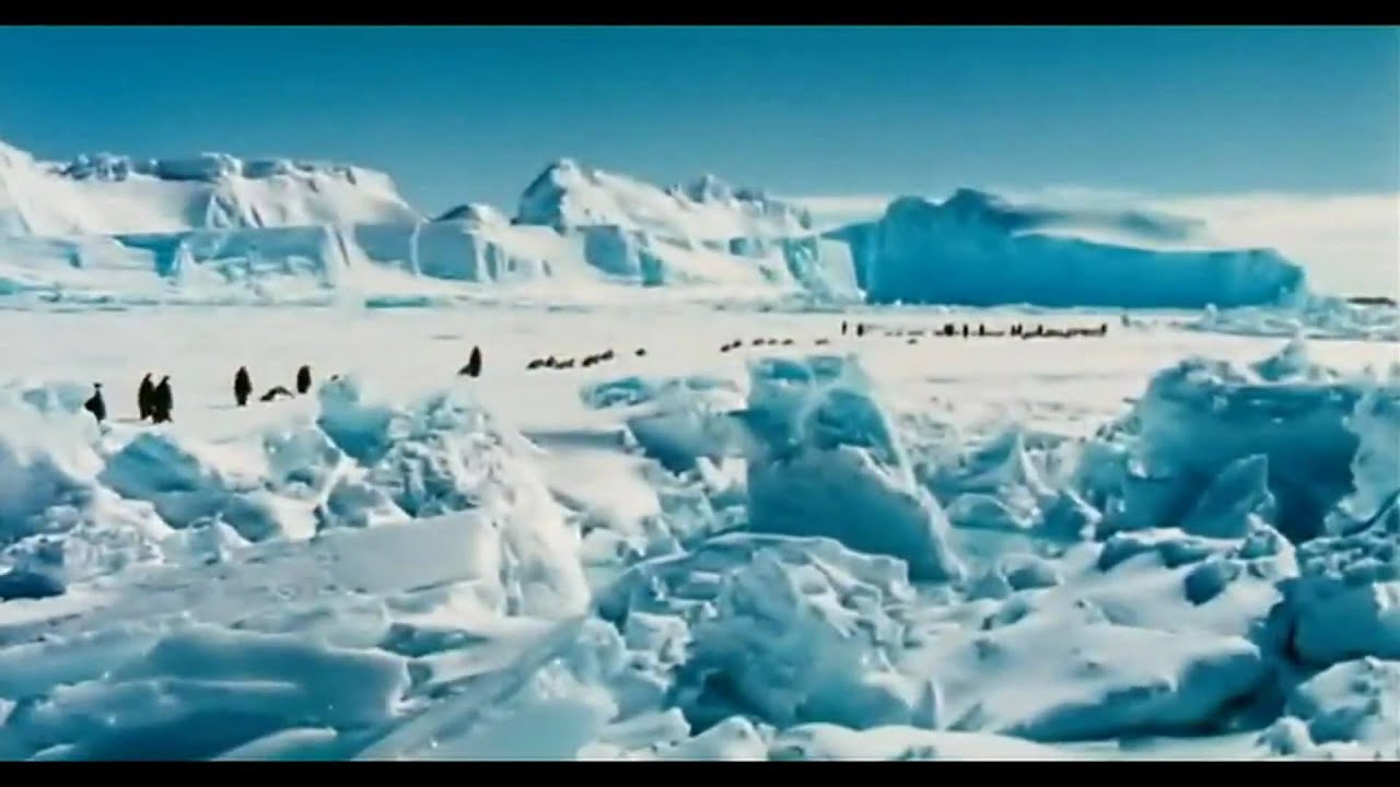 Video for the film March of the Penguins — March Of The Penguins Trailer [HD]