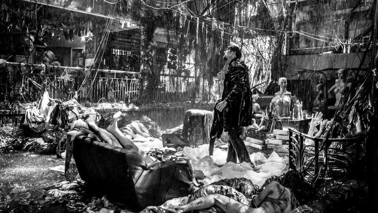 Video for the film Limbo — Limbo  | Official Trailer | Berlinale 2021
