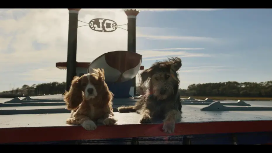 Video for the film Lady and the Tramp — La Dama y el Vagabundo de Disney+ | Tráiler oficial | HD