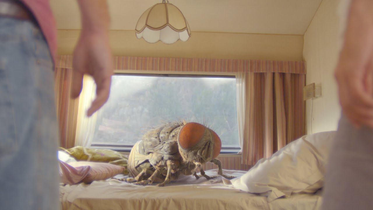 Video for the film Mandibles — ‘Mandibles': First trailer for Quentin Dupieux’s giant fly comedy (exclusive)
