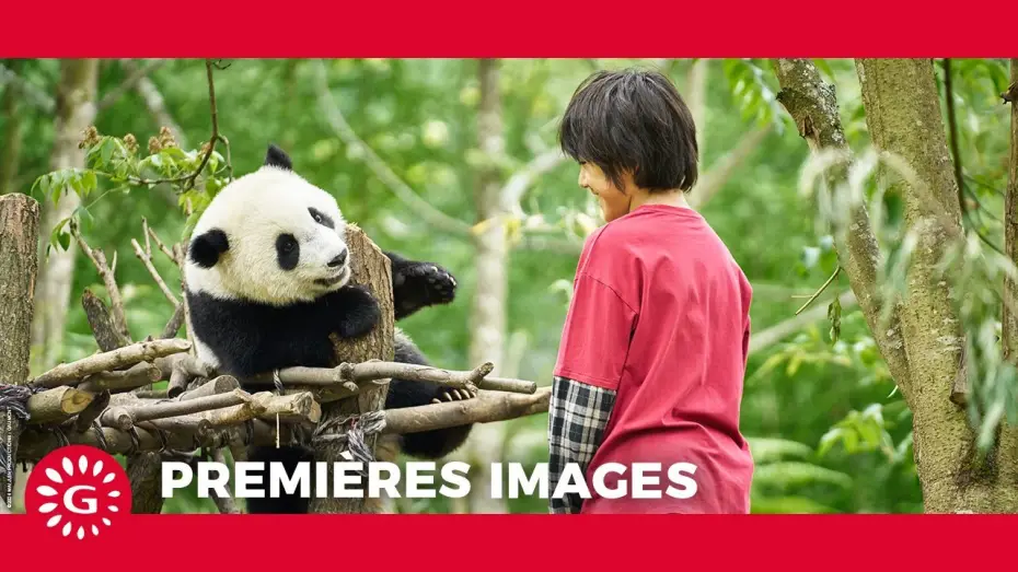 Video for the film Moon the Panda — MOON LE PANDA - Premières images [Le 9 avril au cinéma ]
