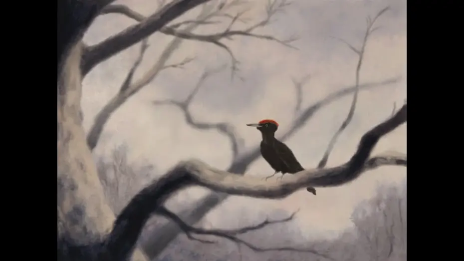 Video for the film Almagre — ALMAGRE - Annecy Festival 2024