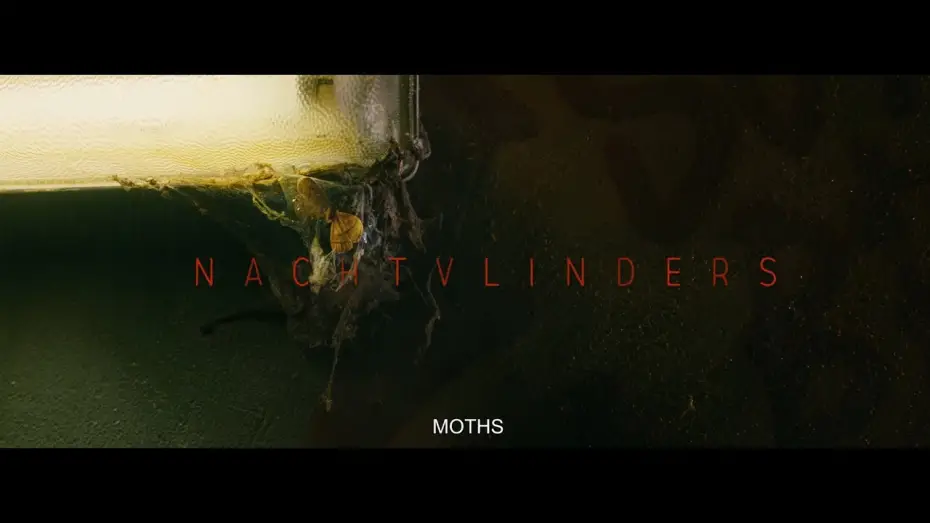 Video for the film Night Creatures — Night Creatures - Trailer