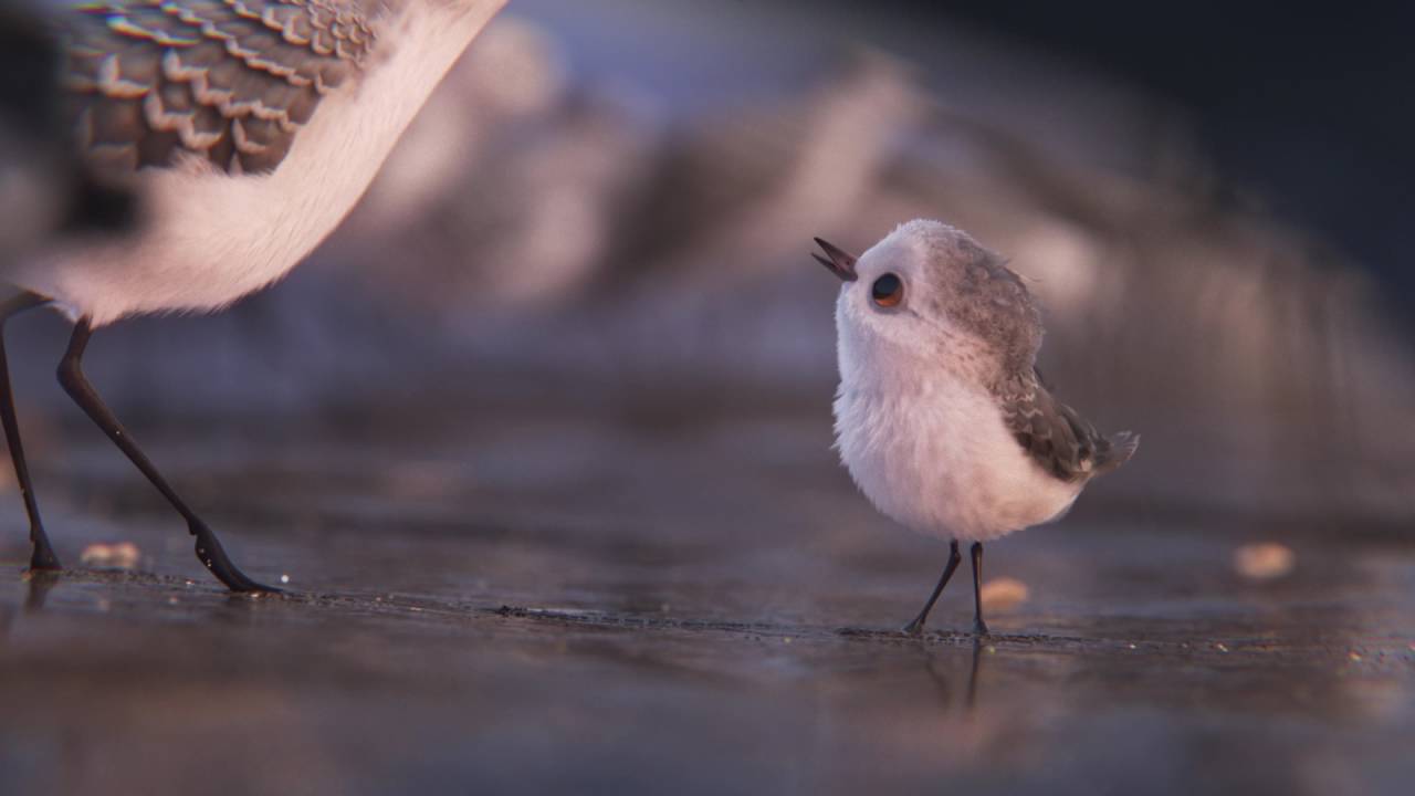 Video for the film Piper — Piper - Trailer