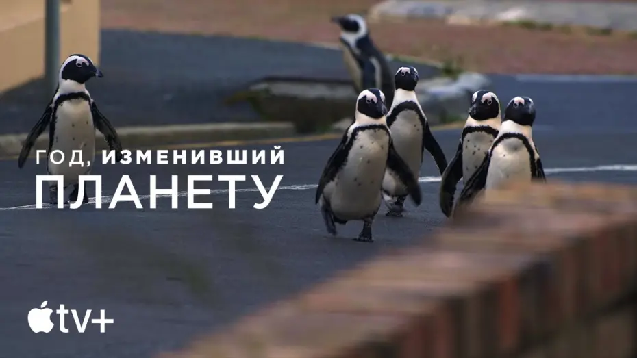 Video for the film The Year Earth Changed — Официальный трейлер [Субтитры]