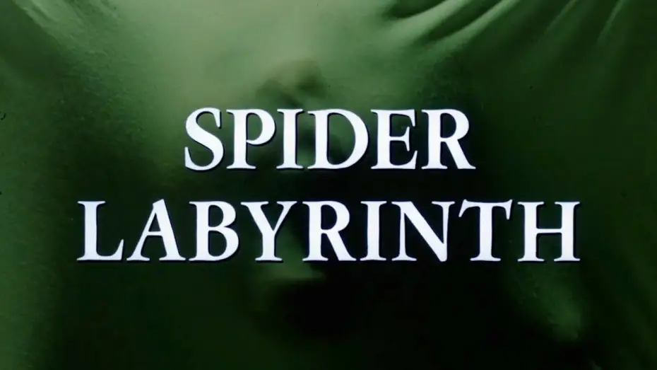 Video for the film The Spider Labyrinth — SPIDER LABYRINTH (1988) TRAILER