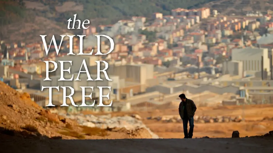 Video for the film The Wild Pear Tree — The Wild Pear Tree (official trailer)
