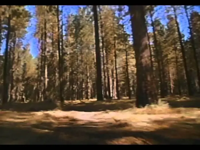 Video for the film Surviving the Game — Surviving The Game Trailer 1994