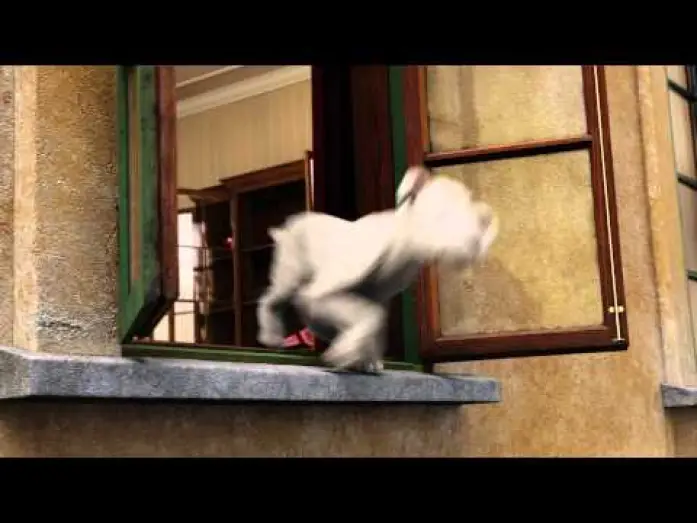 Video for the film The Adventures of Tintin — Les aventures de Tintin : Le secret de la Licorne - Extrait "Snowy to the rescue" VF