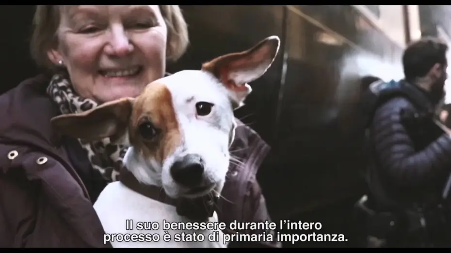Video for the film The Danish Girl — THE DANISH GIRL di Tom Hooper - Featurette "Pixie" (sottotitoli in italiano)