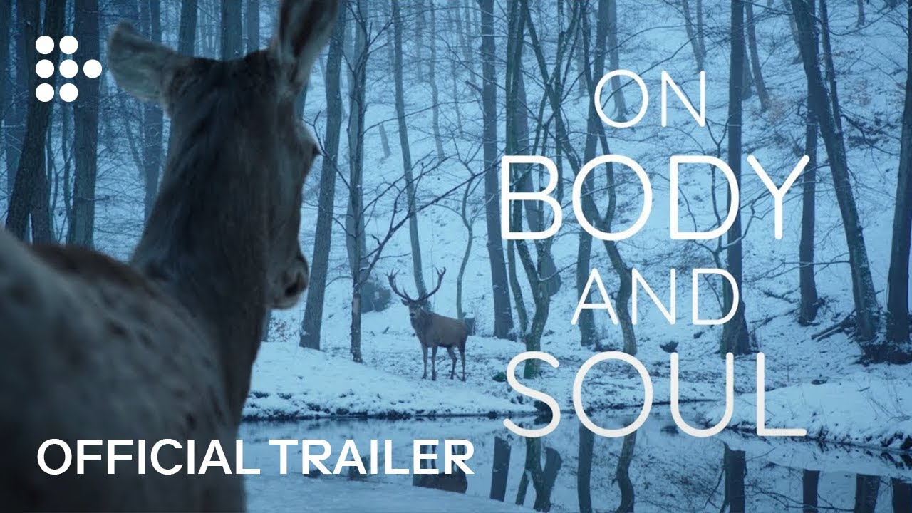 Video for the film On Body and Soul — On Body and Soul (Ildikó Enyedi, 2017) | Oscar Nominated, 2018