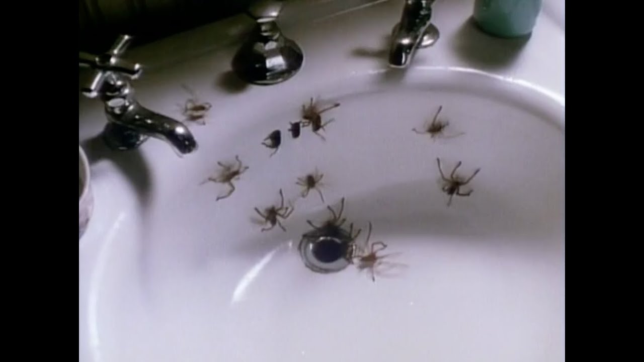 Video for the film Arachnophobia — Arachnophobia (1990) Theatrical Trailer