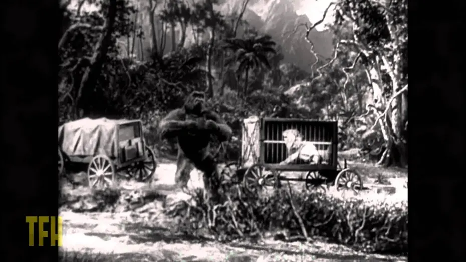 Video for the film Mighty Joe Young — John Landis on MIGHTY JOE YOUNG