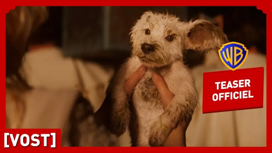 Video for the film Supergirl — Supergirl | Teaser Krypto (VOST) | Milly Alcock, Jason Momoa