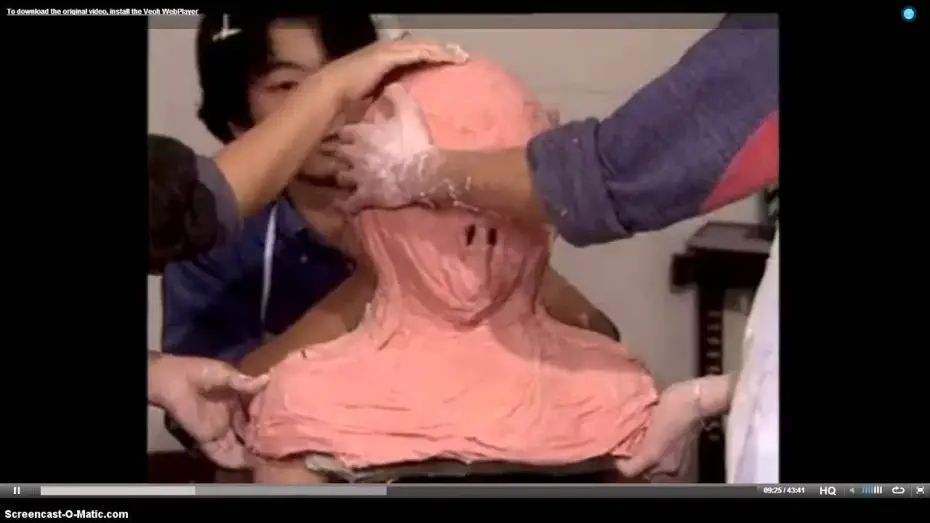 Video for the film Guinea Pig Part 2: Flower of Flesh and Blood — Flowers of Flesh and Blood