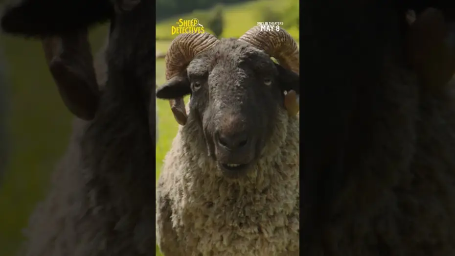Video for the film The Sheep Detectives — Sheep TV Spot