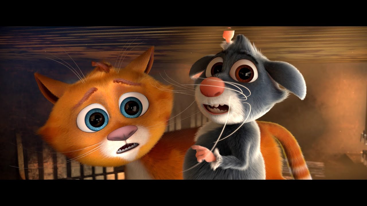 Video for the film Cats in the Museum — Official Trailer