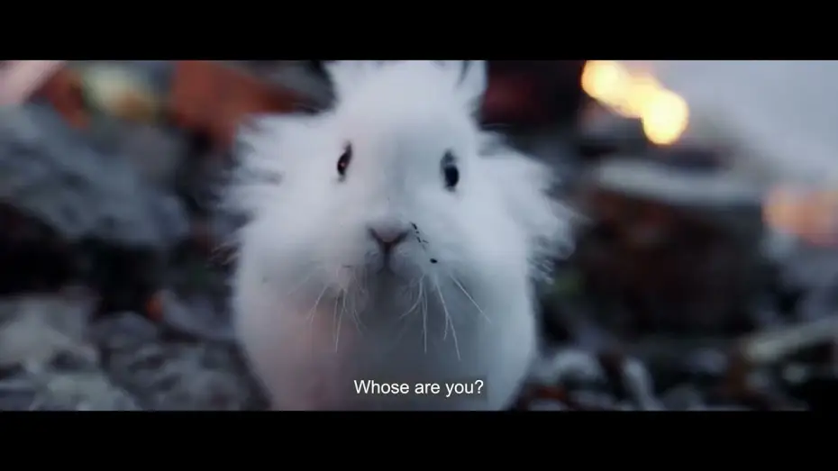 Video for the film Animals in War — Trailer [Subtitled]