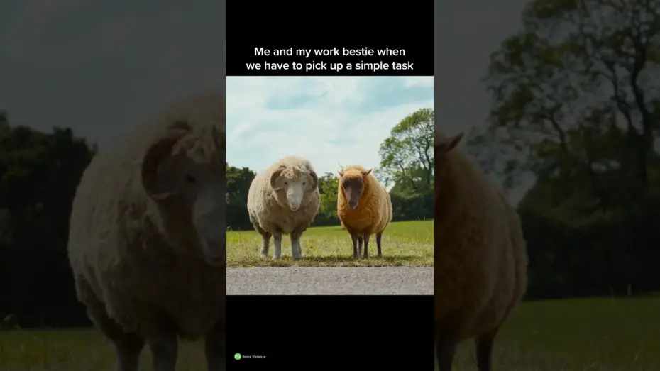Video for the film The Sheep Detectives — Work Besties