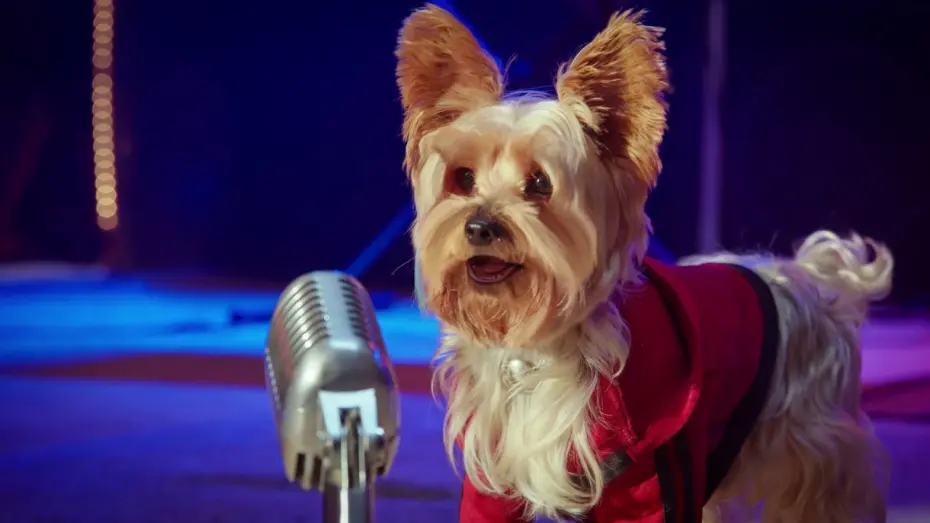 Video for the film Pup Star: Better 2Gether — I Got This Music Video