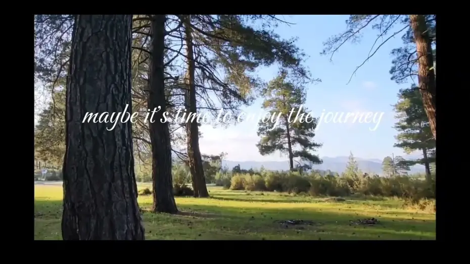 Video for the film When I'm Gone — When I'm gone I'd like to be a part of the trees  feeling the breeze while the birds freely singing