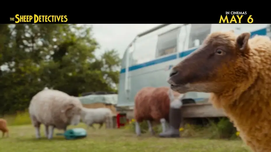 Video for the film The Sheep Detectives — In Cinemas May 6