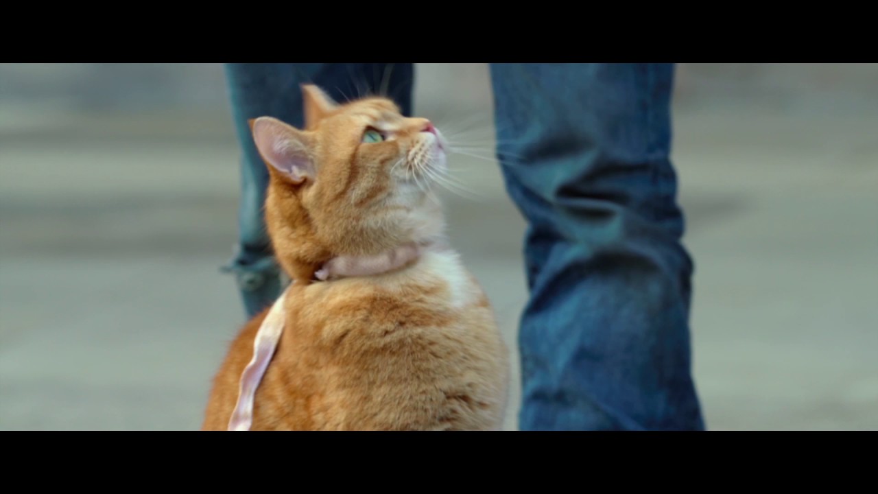 Video for the film A Street Cat Named Bob — A Street Cat Named Bob - Getting the Punters In Clip - At Cinemas Now