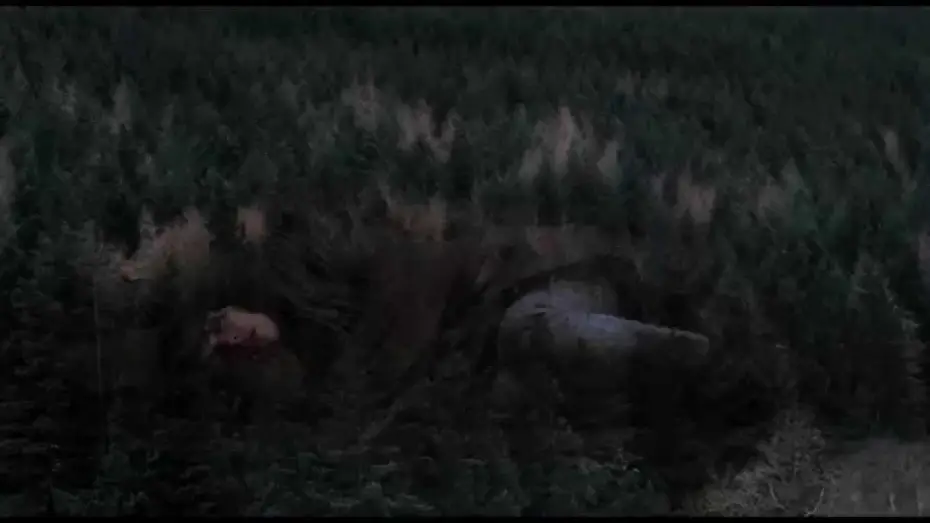 Video for the film Under the Skin — UNDER THE SKIN - Bande Annonce VOST