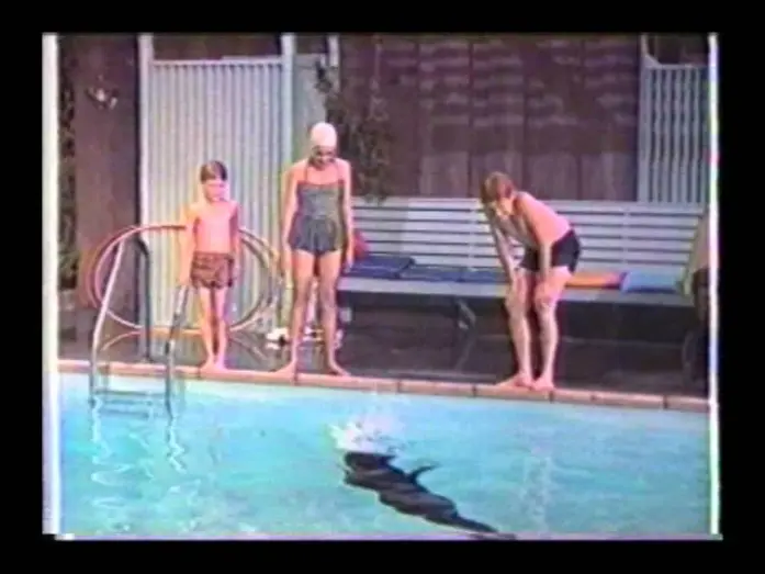 Video for the film Sammy, the Way-Out Seal — Sammy the Way-Out Seal trailer.wmv
