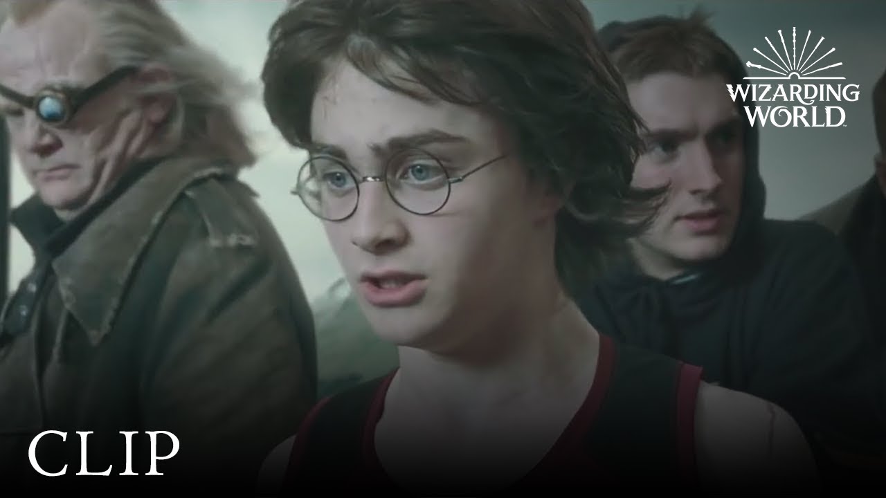 Video for the film Harry Potter and the Order of the Phoenix — Harry's Gillyweed Transformation | Harry Potter and the Goblet of Fire