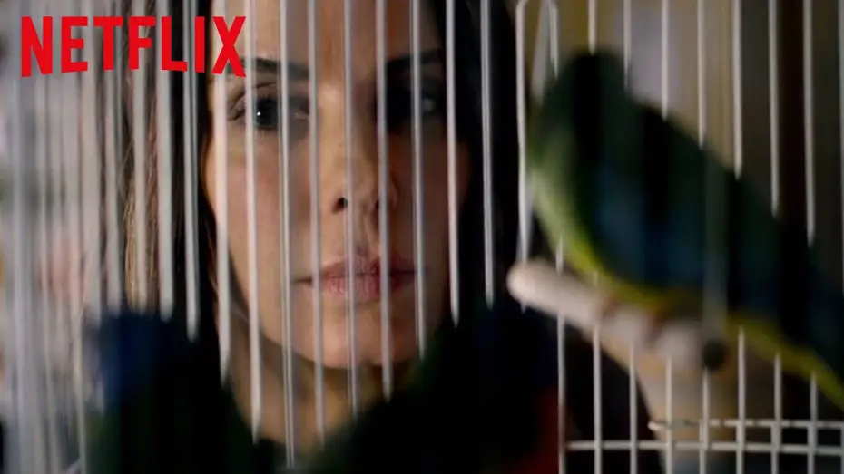 Video for the film Bird Box — BIRD BOX - Bande Annonce 2 VF