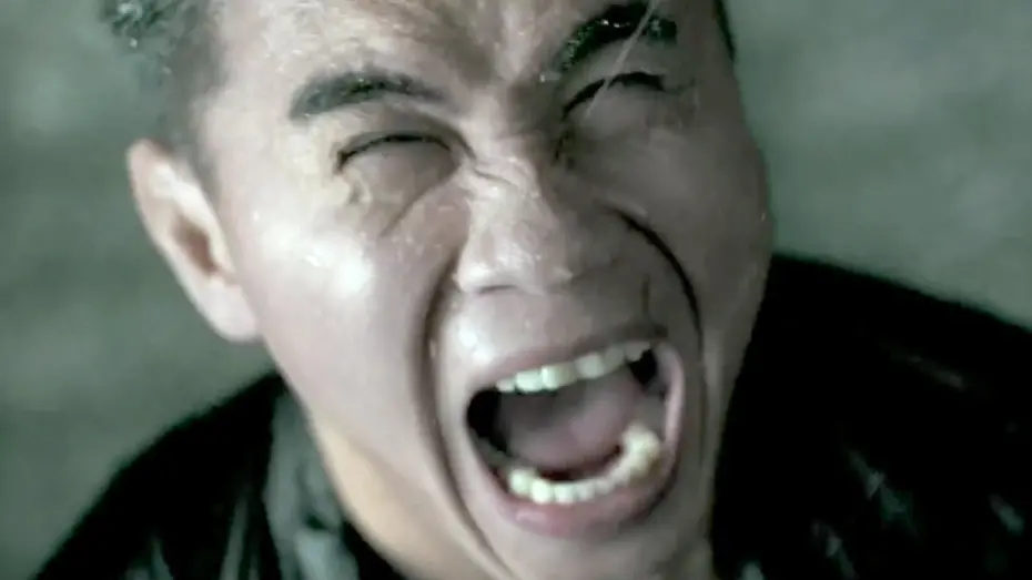 Video for the film The Grandmaster — THE GRANDMASTER | Trailer 3