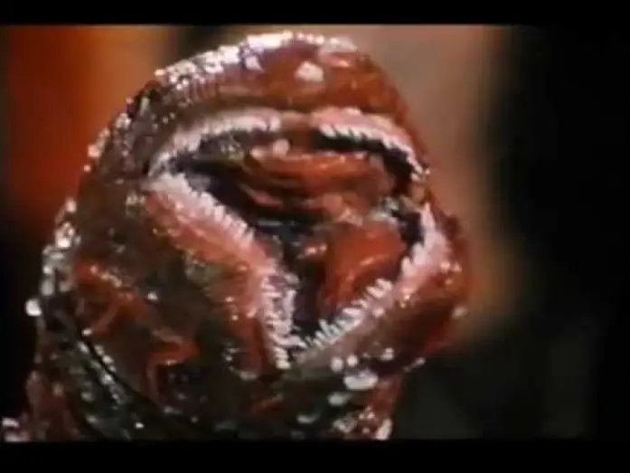 Video for the film Beauty Evil Rose — Beauty's Evil Rose