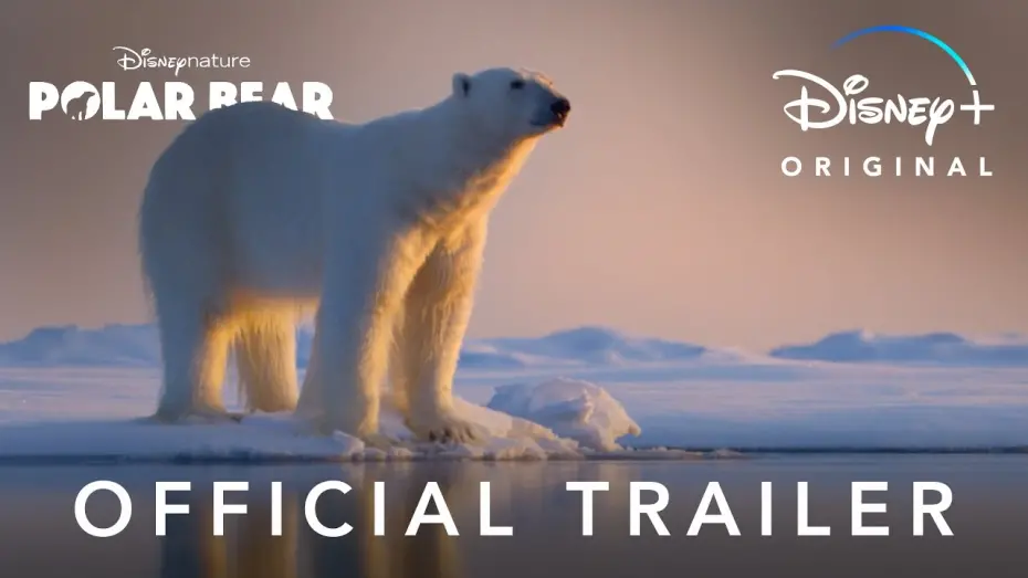 Video for the film Polar Bear — Official Trailer
