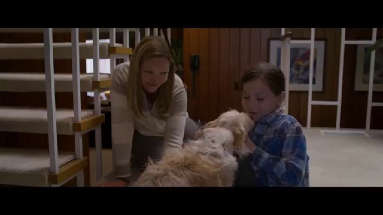 Video for the film Room — Official UK 60" Trailer