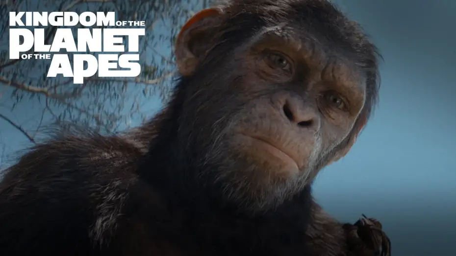 Video for the film Kingdom of the Planet of the Apes — Yours to Own Promo