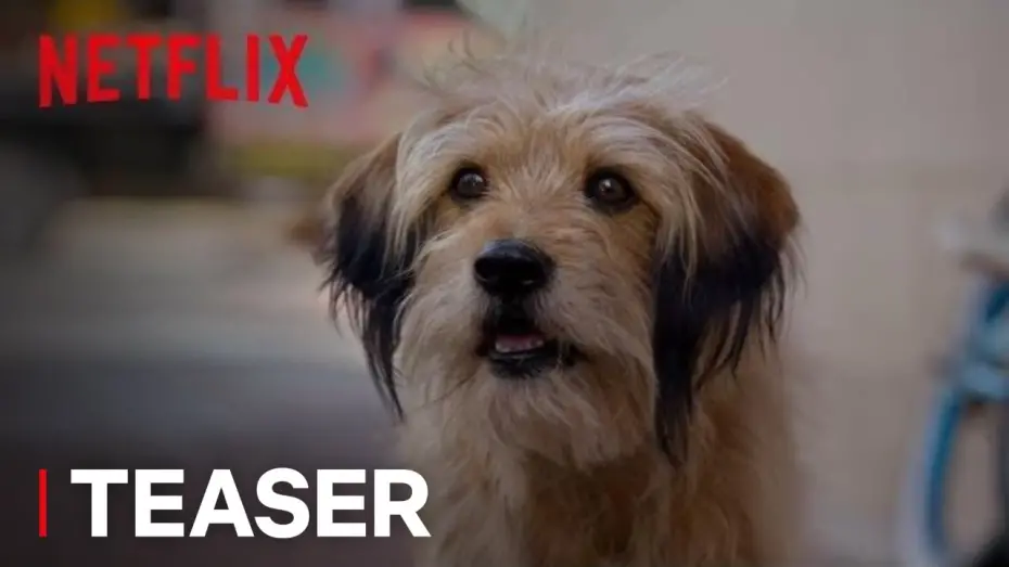Video for the film Benji — Benji | Official Teaser [HD] | Netflix