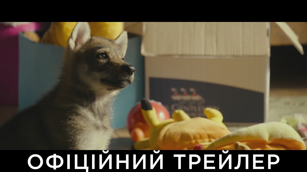Video for the film Vicky and Her Mystery — МІЙ ВОВК | Офіційний український трейлер