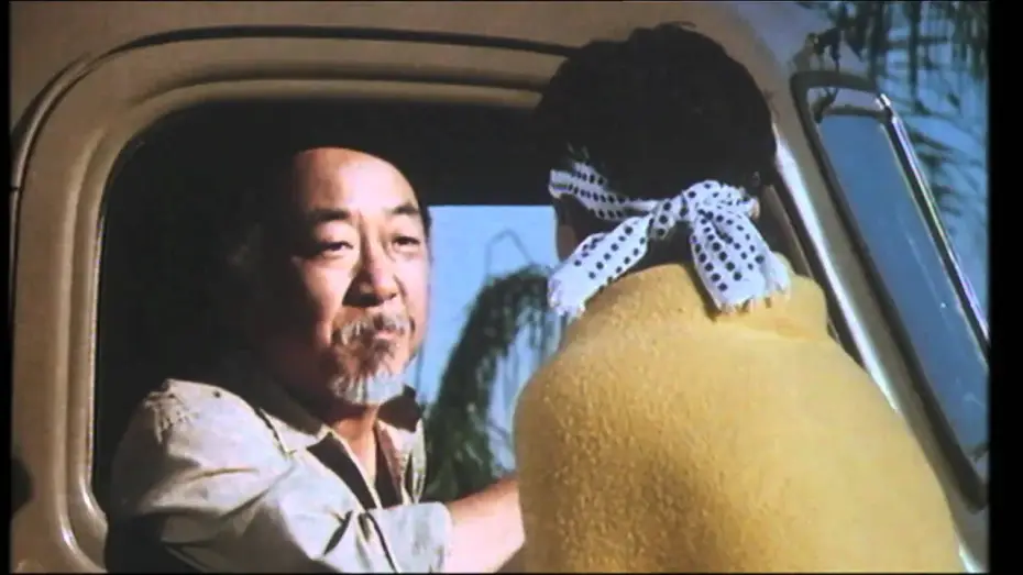 Video for the film The Karate Kid — Karate Kid - Per vincere domani in DVD e BLU-RAY - Trailer cinematografico