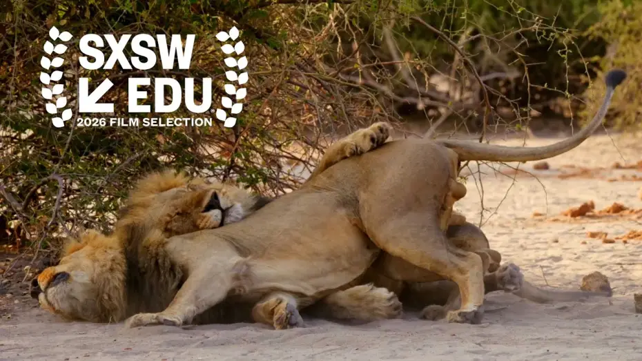 Video for the film Second Nature: Gender and Sexuality in the Animal World — Second Nature - Official Trailer