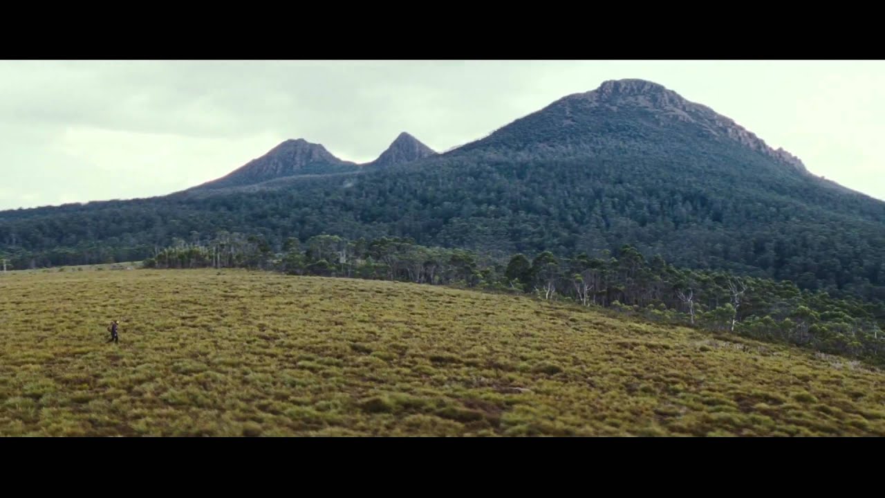 Video for the film The Hunter — The Hunter (2011) - Official Trailer HD
