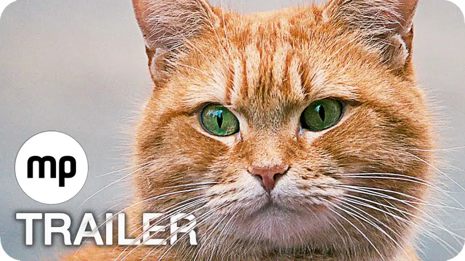Video for the film A Street Cat Named Bob — BOB DER STREUNER Trailer German Deutsch (2017)