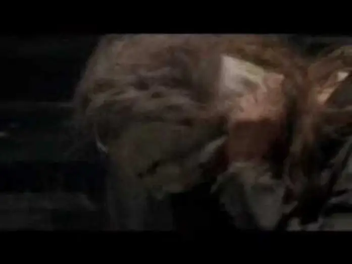 Video for the film Halloween — Halloween 2007 Trailer German High Qualität